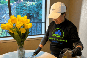 June SS Ofes Cleaning 877 x
