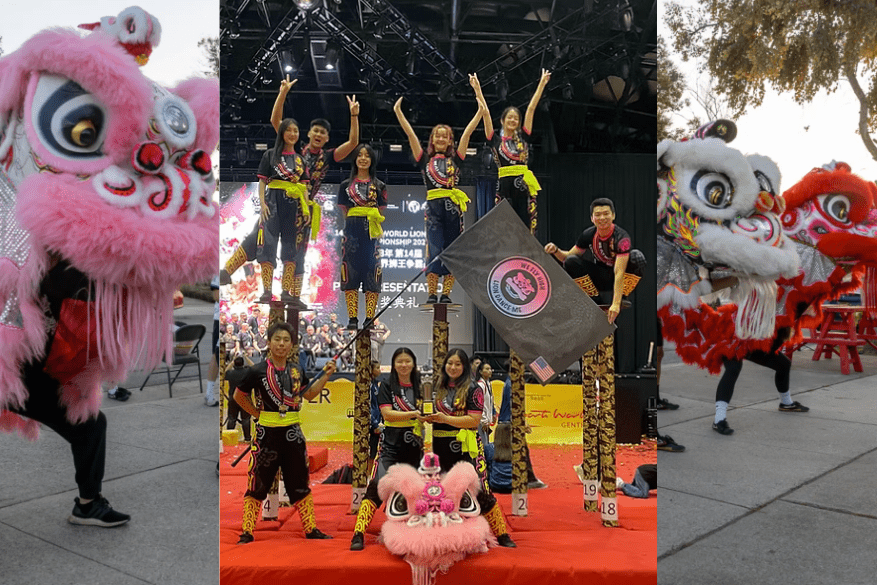 Novemberss lion dance 877x585