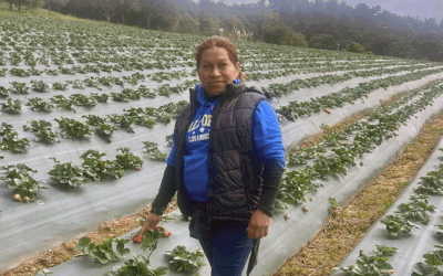 Dulce Organic Farms